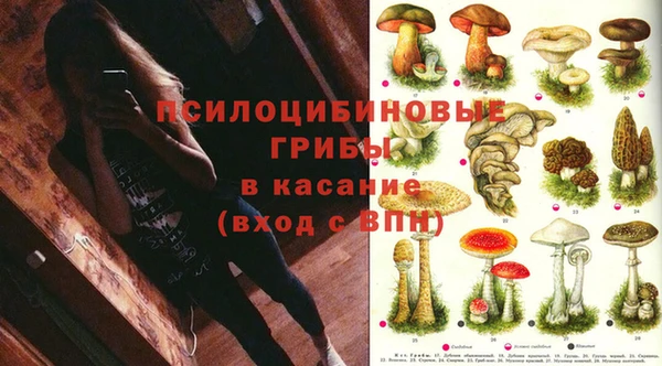 круглые Алзамай