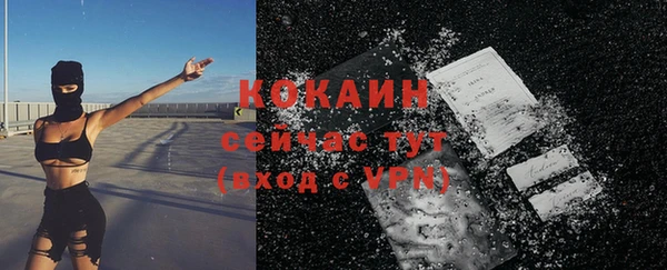 прущие грибы Алексин