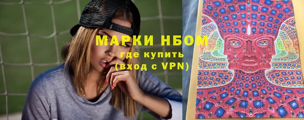прущие грибы Алексин