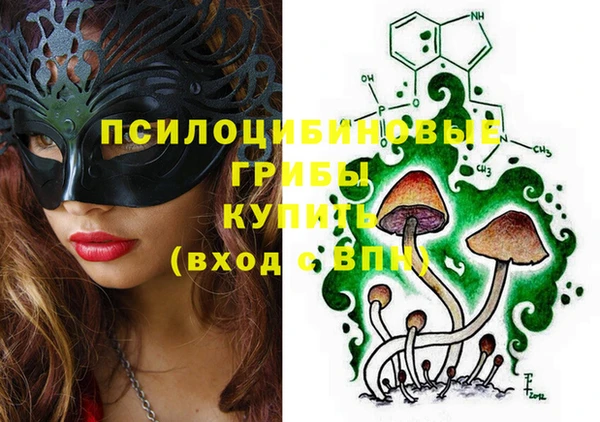 прущие грибы Алексин