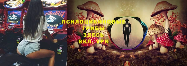 круглые Алзамай