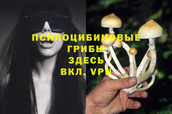 прущие грибы Алексин