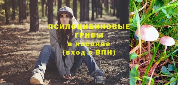 прущие грибы Алексин